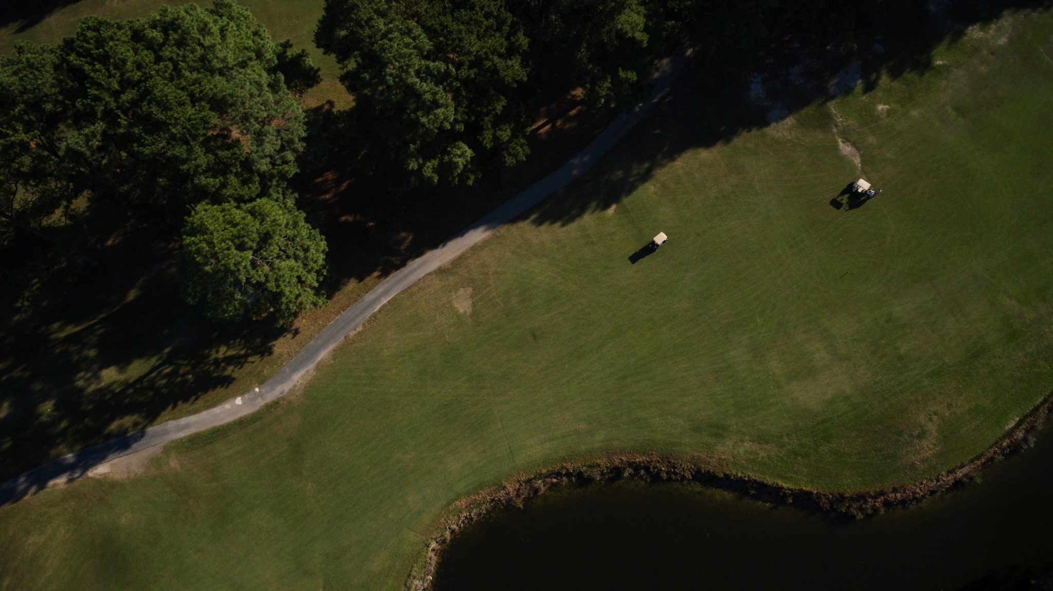 golf course with trees